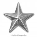 Texas Lone Star - 3D