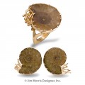 Ammonite Ensemble